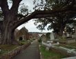 Kirche mit Baum und Friedhof St. Brelade