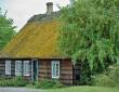 Reethaus mit bemoostem Dach