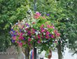 Blumenstrauß an Laternenmast