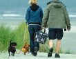 Paar mit 2 Dackeln geht zum Strand