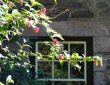 Fenster mit Blumen