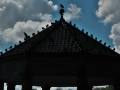 Pavillon mit Tauben Silhouette