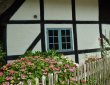 Gartenzaun mit Blumen