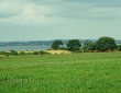 Blick über die Weiden von Lyø