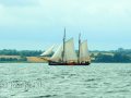 Begleitendes Segelschiff im Als Fjord