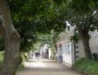 The Avenue
