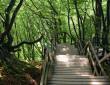 Treppe ans Meer