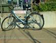 Hafenmeister Dienstfahrrad