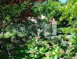 Haus mit Garten
