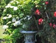 Garten auf Sark