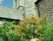 Garten an der Kirche