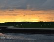 Deichschafe am Abend