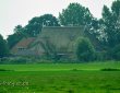 Reet gedeckter Hof