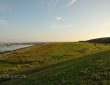 Idyll mit Pferden am Watt im Abendlicht