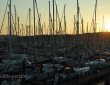 im Yachthafen von Vlieland