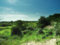 Dünenlandschaft Kobbeduinen