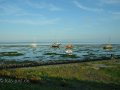 Boote im Wattenmeer